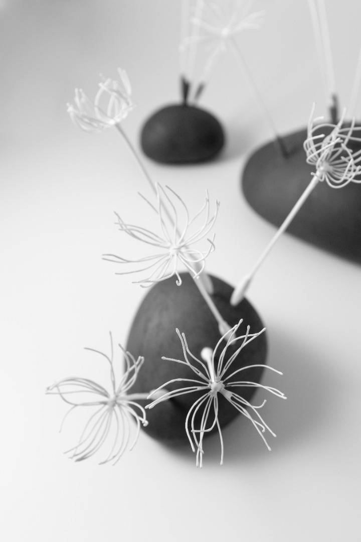 Passage secret - collection Anémochorie. Sculptures en porcelaine et grès noir. Toute la délicatesse  et la poésie des fleurs de pissenlits dans leur envol.